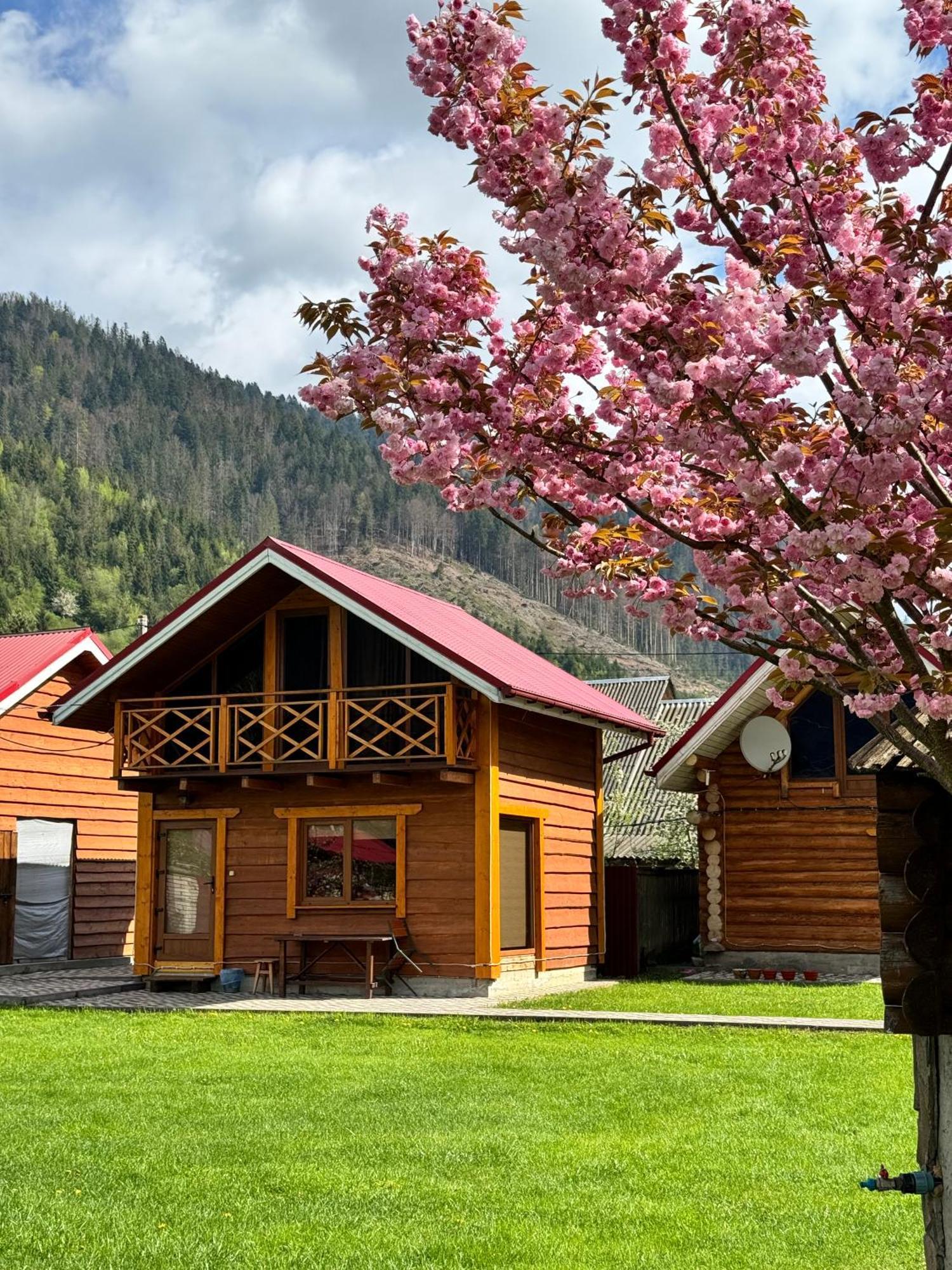 Eco Centr Zrub Hotel Maydan Екстериор снимка